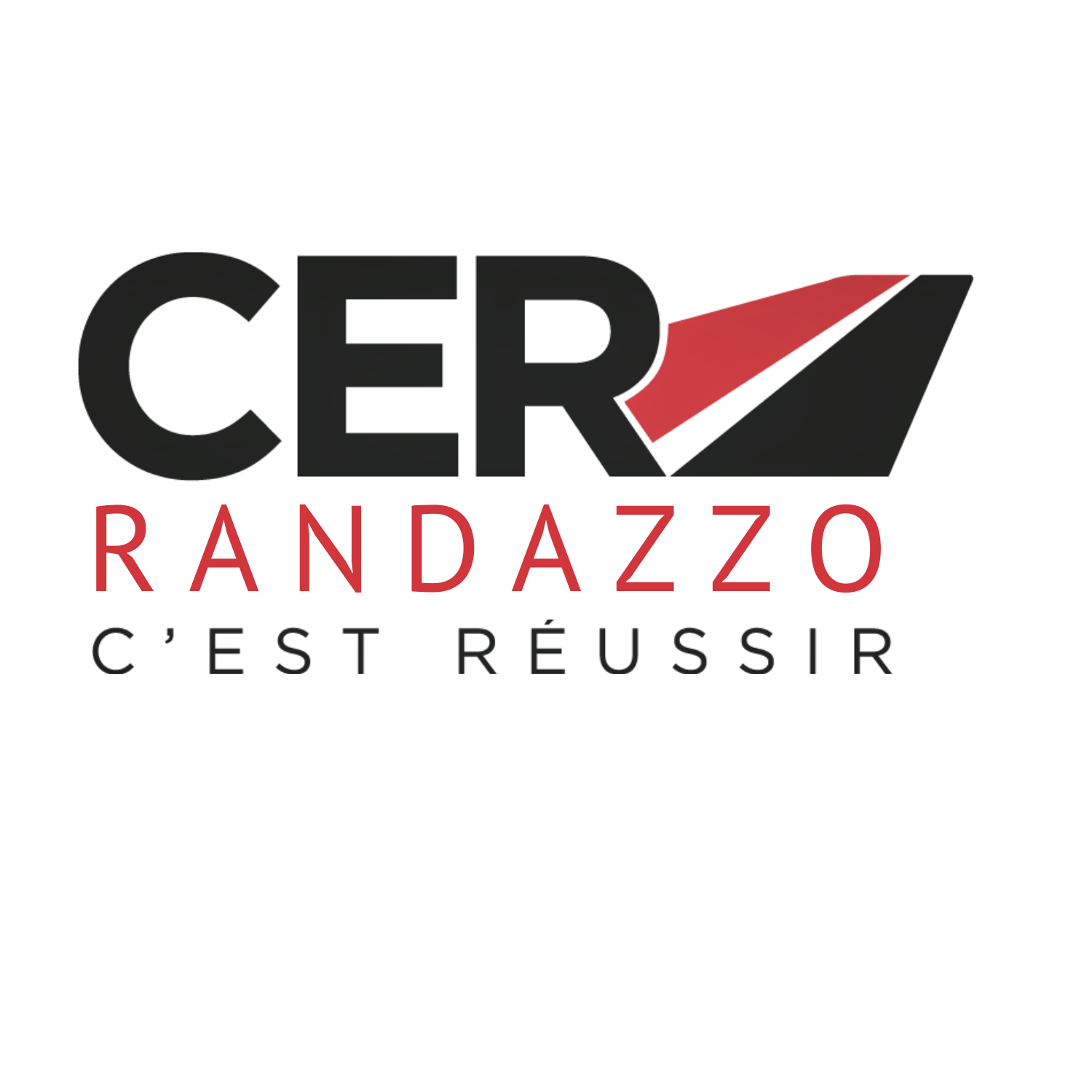 Logo Learny Permis